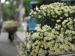 Post cover 1133791