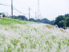 Post cover 1133937