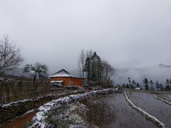 Post cover 1134649