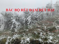 Post cover 1135243
