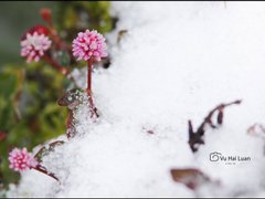 Post cover 1135367