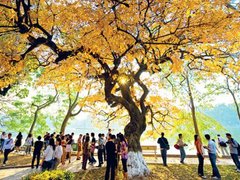 Post cover 1135617