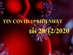 Post cover 1136019