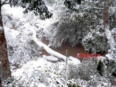 Post cover 1136673