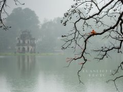 Post cover 1137206