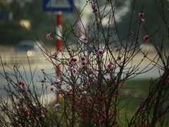 Post cover 1137398