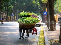 Post cover 1140872
