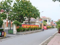 Post cover 1164561