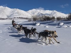 Post cover 1132064