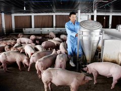 Post cover 1121127