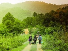 Post cover 1129063