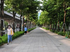Post cover 1131224
