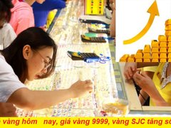 Post cover 1135203
