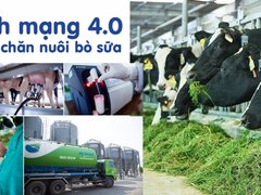 Post cover 1135460