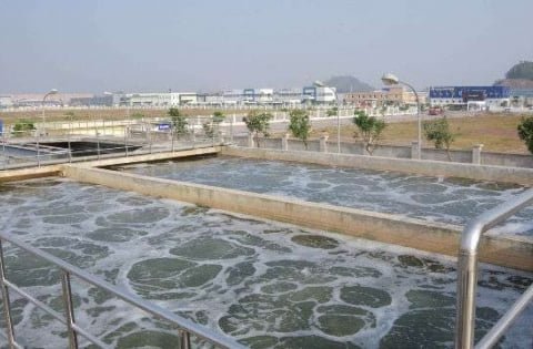 Ảnh bài viết