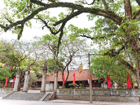 Ảnh bài viết