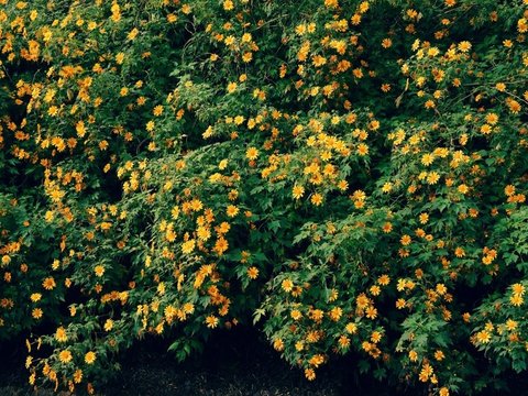 Ảnh bài viết