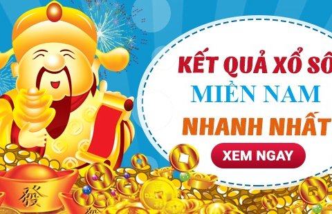 Ảnh bài viết