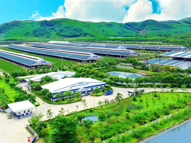 50 năm Vinamilk: Hành trình không ngừng nâng chuẩn